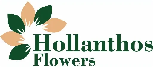 Hollanthos Flowers